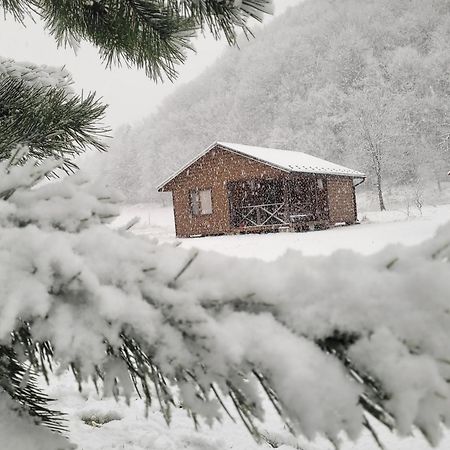 Оберіг Sheshory Exterior foto